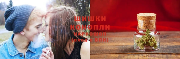 СК Коряжма