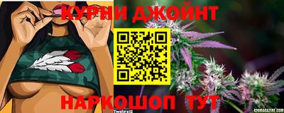 крисы Апрелевка