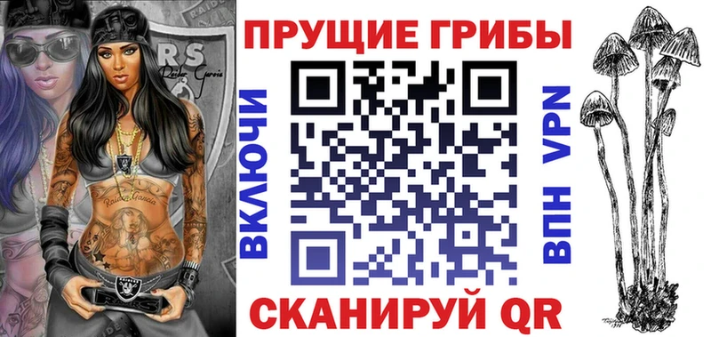 купить закладку  Сунжа  Псилоцибиновые грибы мухоморы 