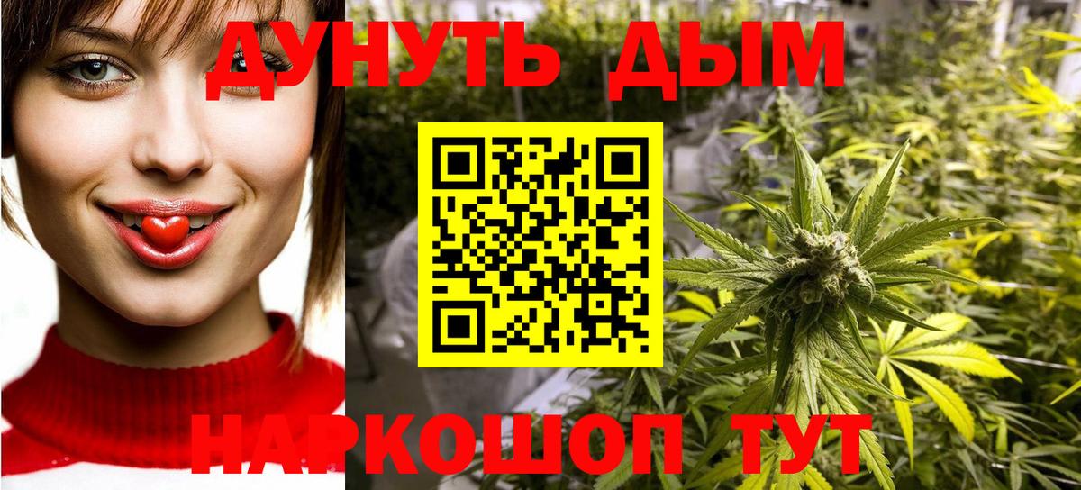Шишки марихуана ГИДРОПОН Сунжа